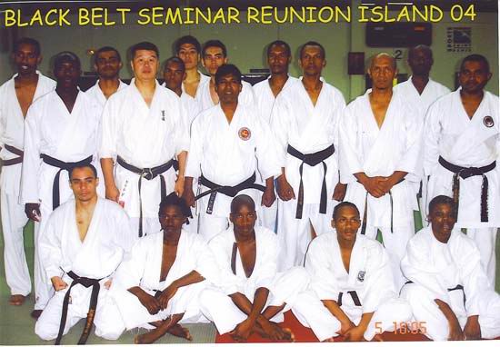 SKI Karate Seminars Abroad 2