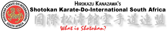 What is Shotokan?